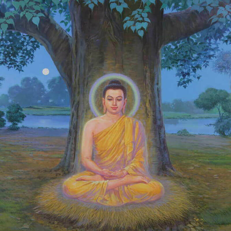 gotama buddha